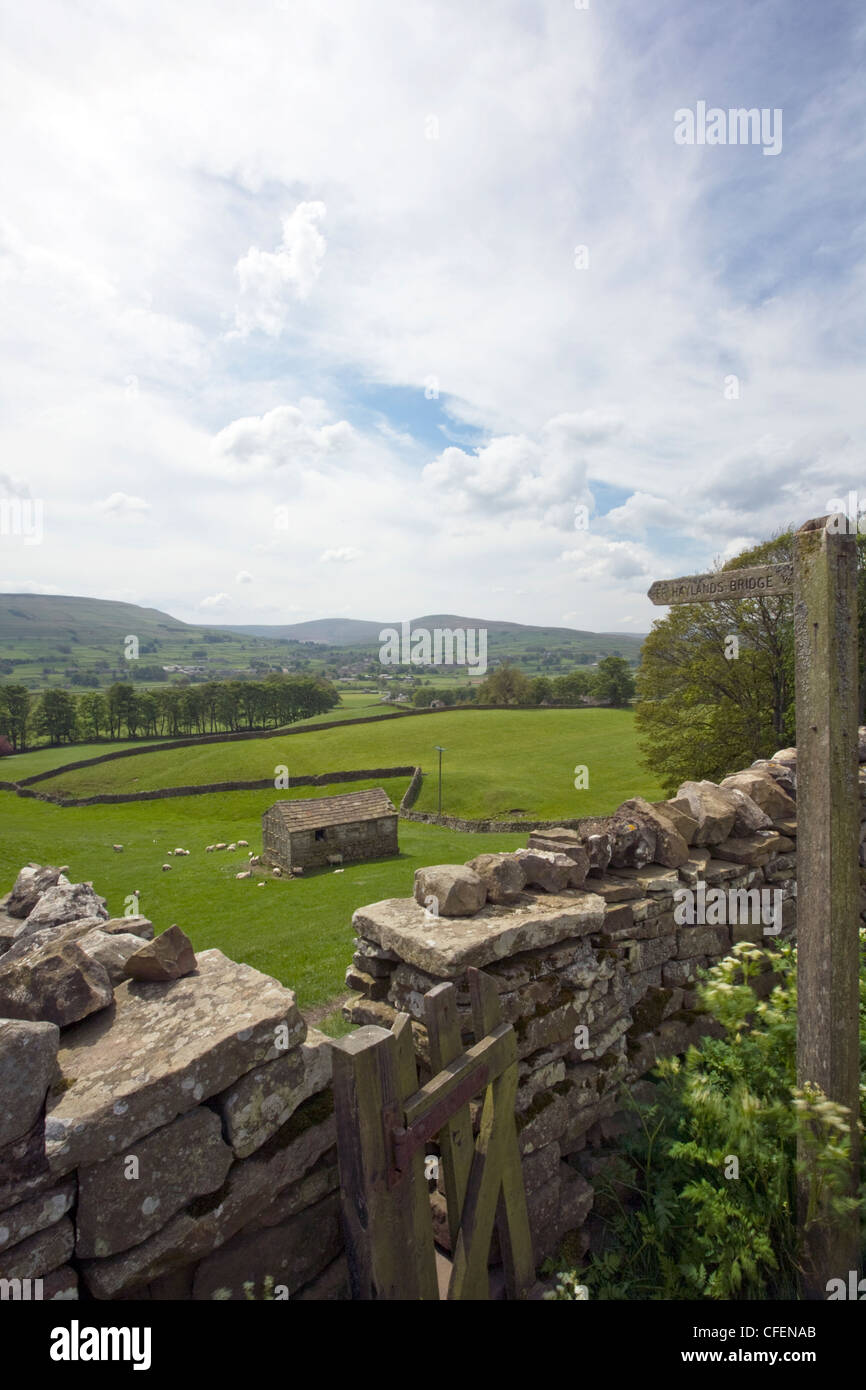 Die Viking-Weg in Yorkshire Dales National Park, nr Hawes, England, UK Ponting Weg durch Schafe Stil folgen Stockfoto