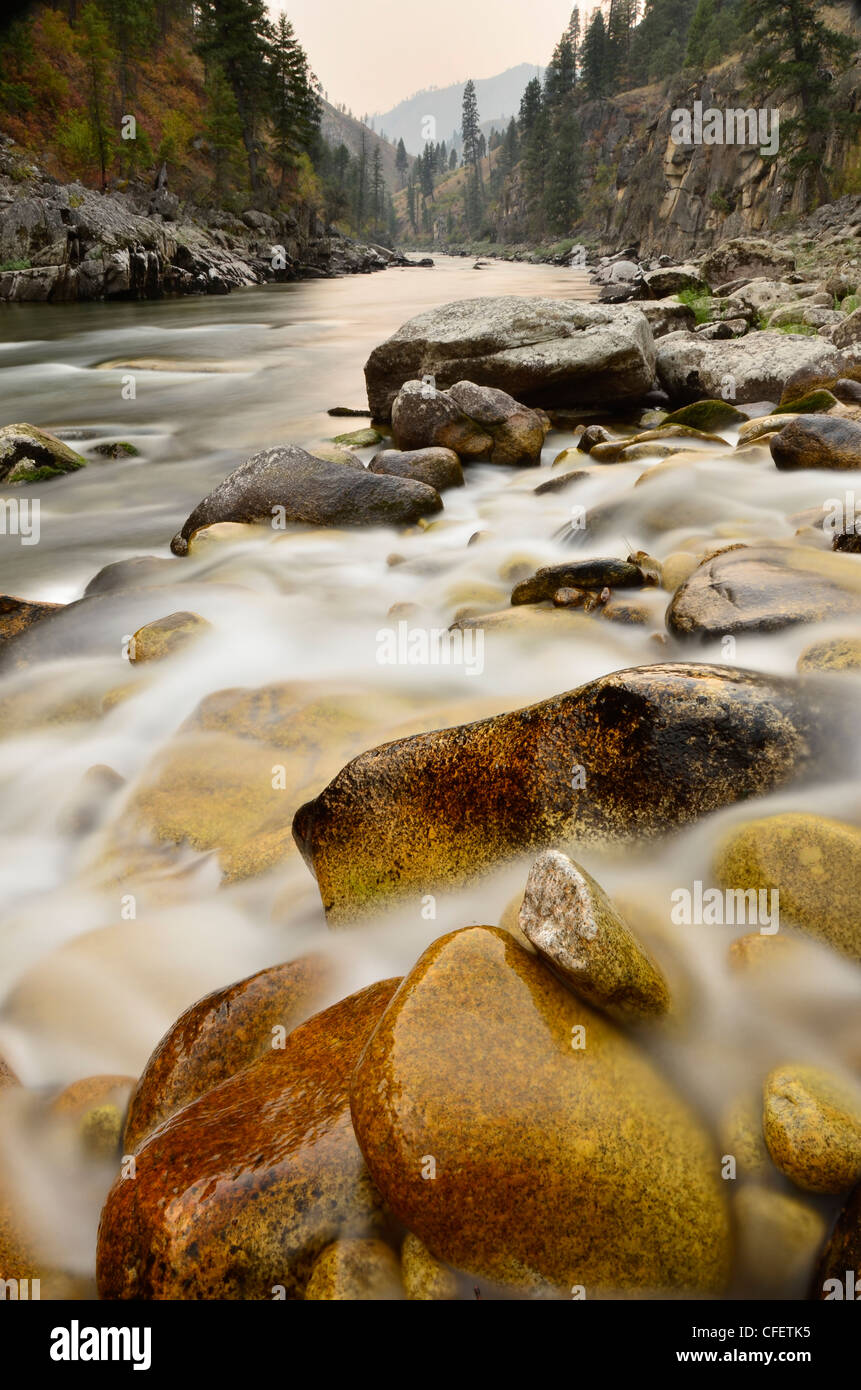 Bear Creek in Idaho South Fork des Salmon River fließt. Stockfoto