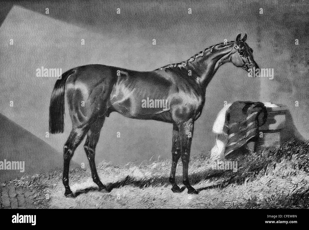 Merry Monarch, Sieger des Epsom Derby, 1845 Stockfoto