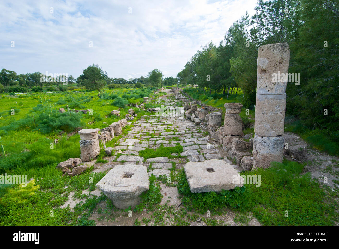 Die römischen Ruinen von Salamis, türkischen Teil von Zypern, Europa Stockfoto