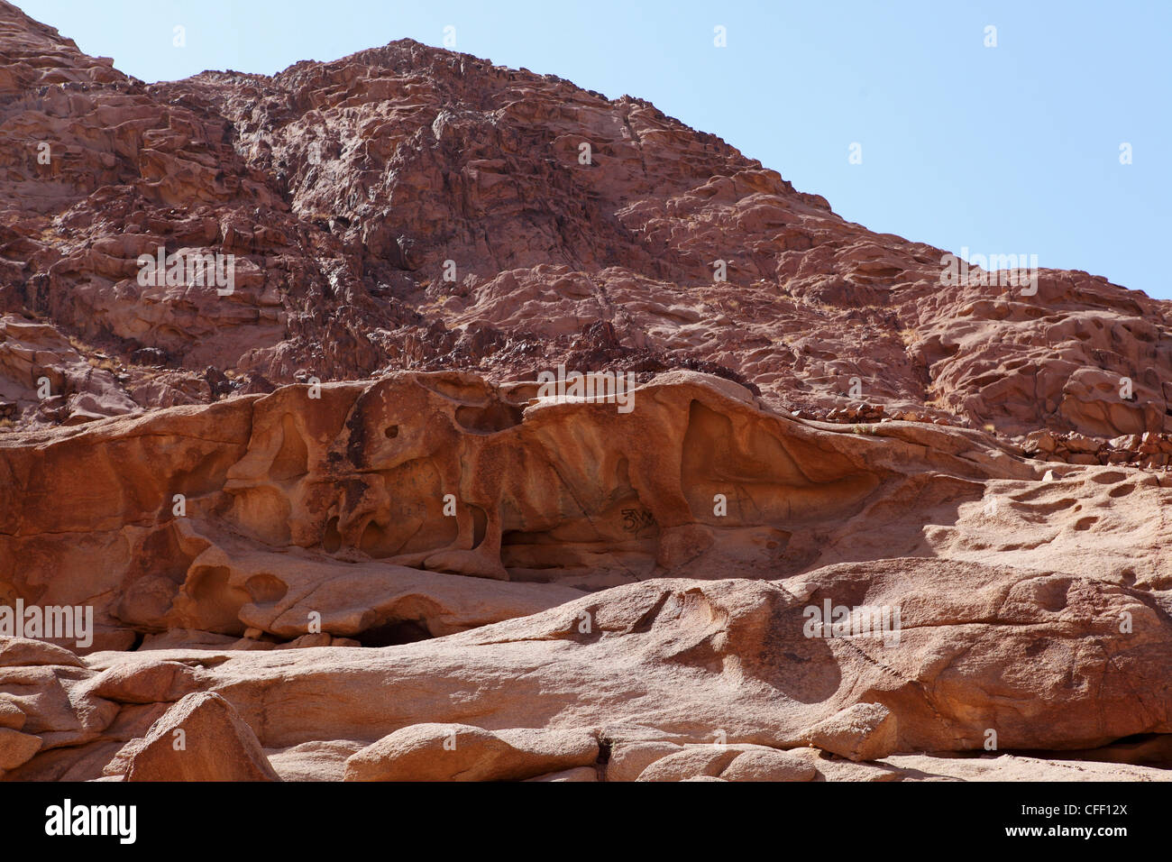 Goldenes Kalb des alten Testaments unter Berg Sinai im Katharinenkloster, Sinai-Halbinsel, Ägypten Stockfoto