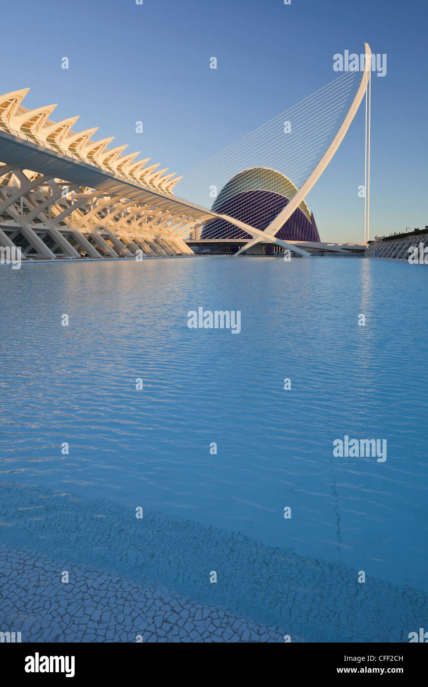 Museo de Las Ciencias Príncipe Felipe und L'Agora in der Sonne, Ciudad de Las Artes y de Las Ciencias, Valencia, Spanien, Europ Stockfoto Museo de Las Ciencias Príncipe Felipe und L'Agora in der Sonne, Ciudad de Las Artes y de Las Ciencias, Valencia, Spanien, Europ Stockfoto