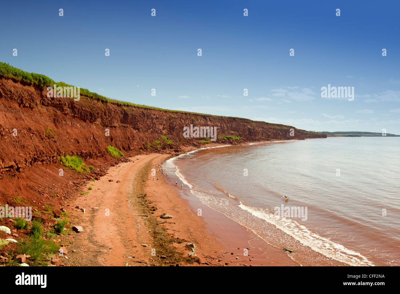 Roten Sandsteinfelsen, Howards Cove, Prince Edward Island, Canada Stockfoto