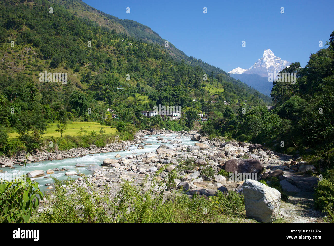 Modi Flusstal mit Blick auf anzeigen (Fischschwanz), Trekking von Ghandruk Nayapul, Annapurna Sanctuary Region, Nepal Stockfoto