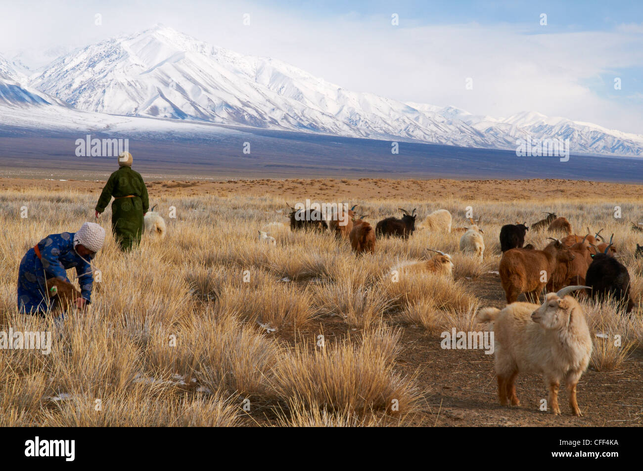 Nomadische mongolische in Winter, Provinz Khovd, Mongolei, Zentral-Asien, Asien Stockfoto