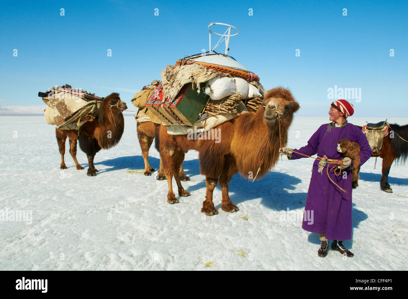 Nomadische Transhumanz mit baktrischen Kamele im Schnee bedeckt, Landschaft, Provinz Khovd, Mongolei, Zentral-Asien, Asien Stockfoto