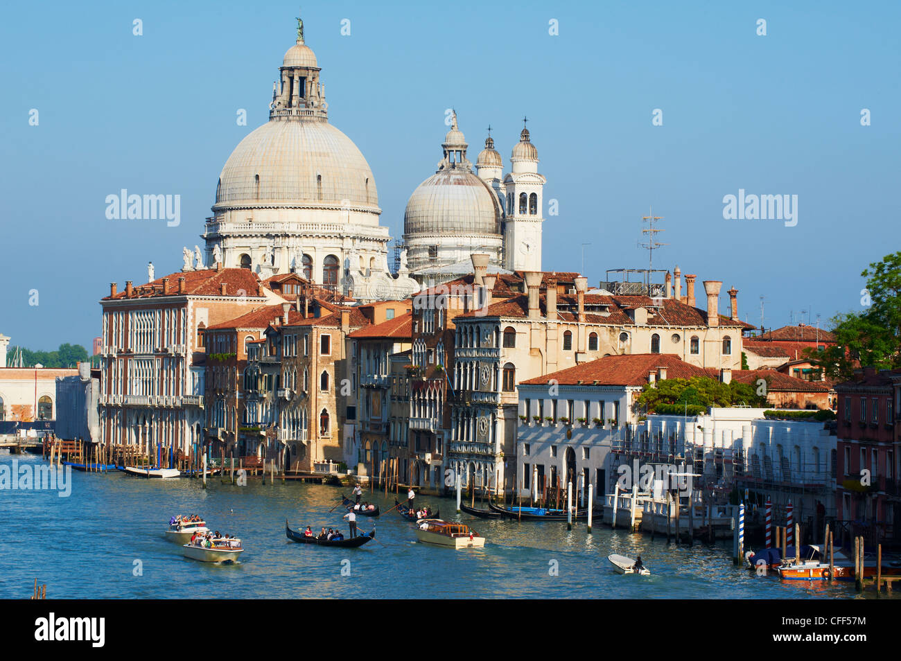 Die Kirche Santa Maria della Salute und der Canal Grande, gesehen von der Academia Brücke, Venedig, Veneto, Italien Stockfoto