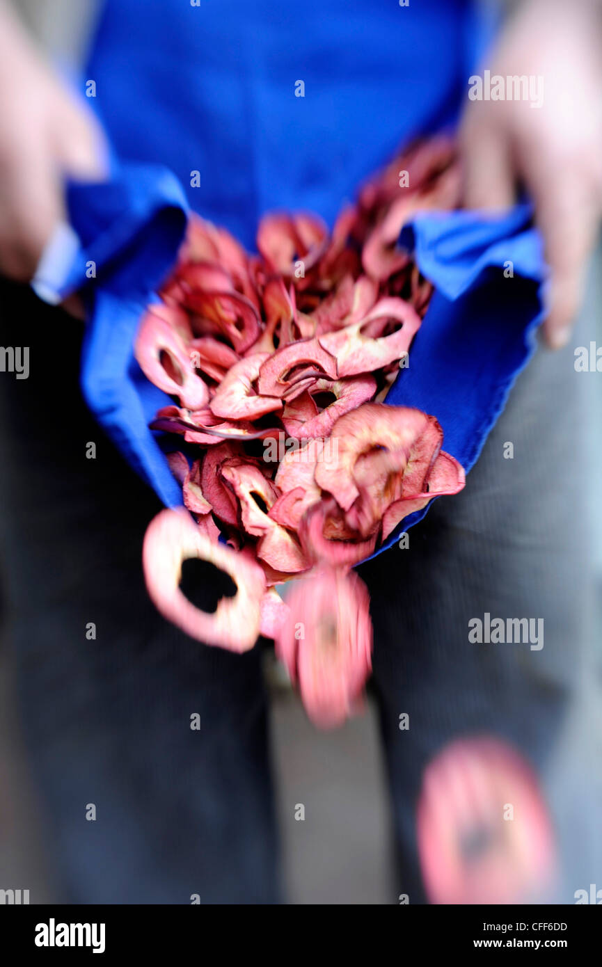 Eine Person, die getrockneten Früchte in eine Schürze, Laas, Val Venosta, Südtirol, Italien, Europa Stockfoto