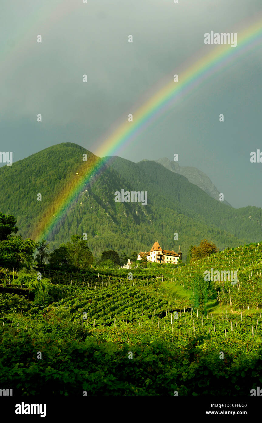 Regenbogen über Weinberge, Obermais, Meran, Südtirol, Südtirol, Italien, Europa Stockfoto