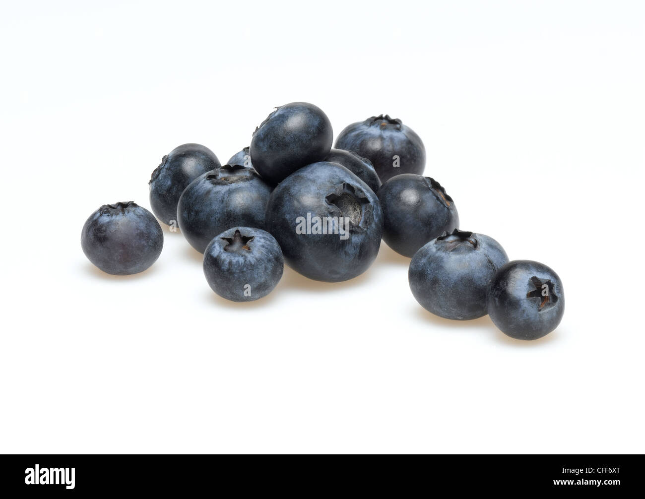 Heidelbeeren Stockfoto