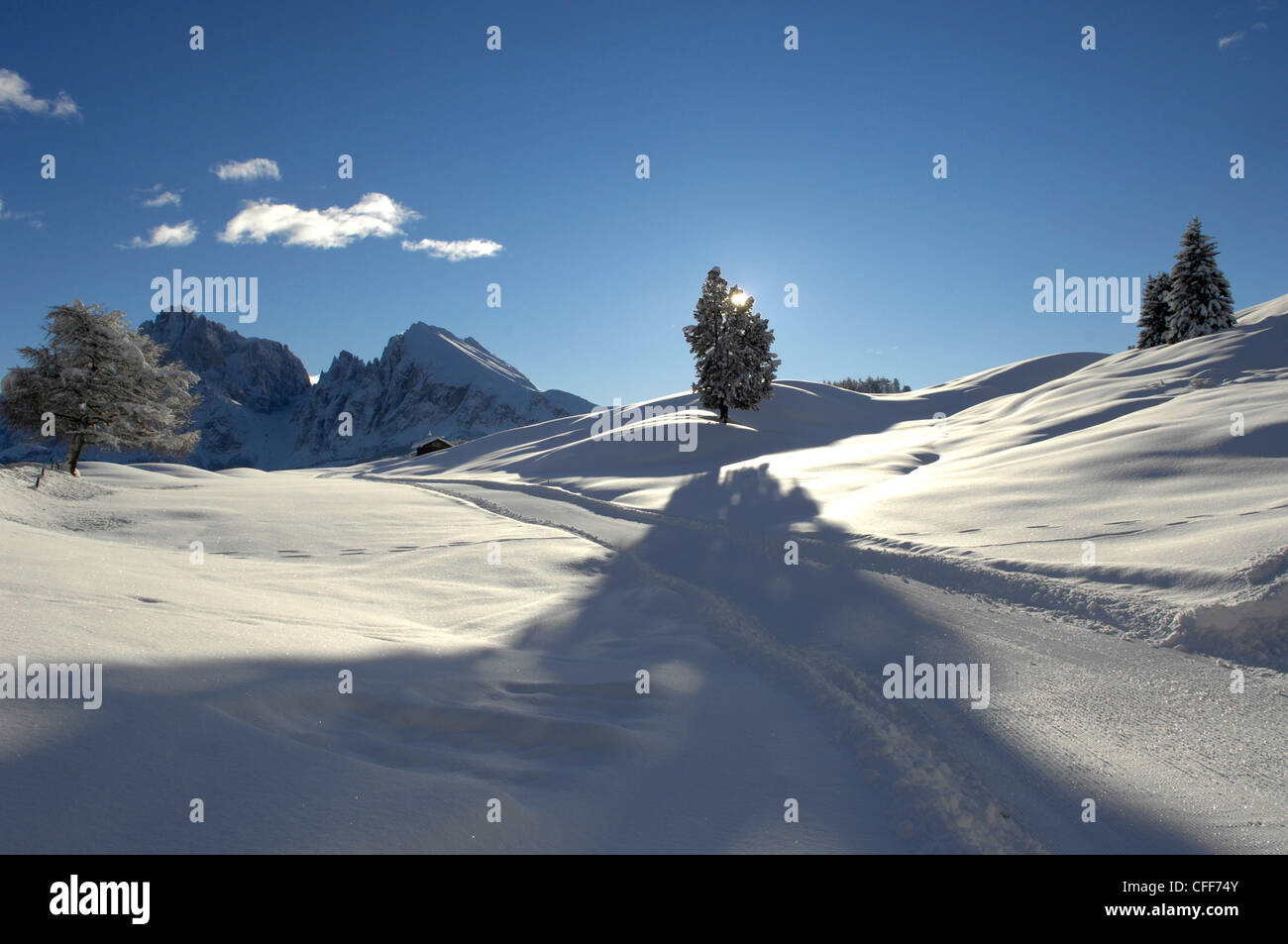 Winterlandschaft mit cross Country Ski Trail in der Morgensonne, Dolomiten, Alto Adige, Südtirol, Italien, Europa Stockfoto