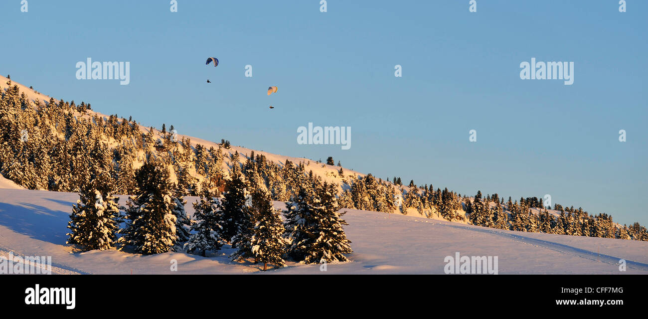 Paragliding, Winter-Landschaft, Rittner Horn, Alto Adige, Südtirol, Italien Stockfoto