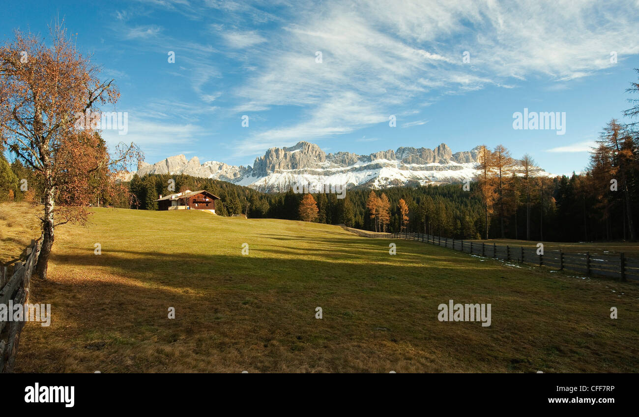 Herbstlandschaft mit Rosengarten in der Backgound, Dolomiten, Alto Adige, Südtirol, Italien Stockfoto