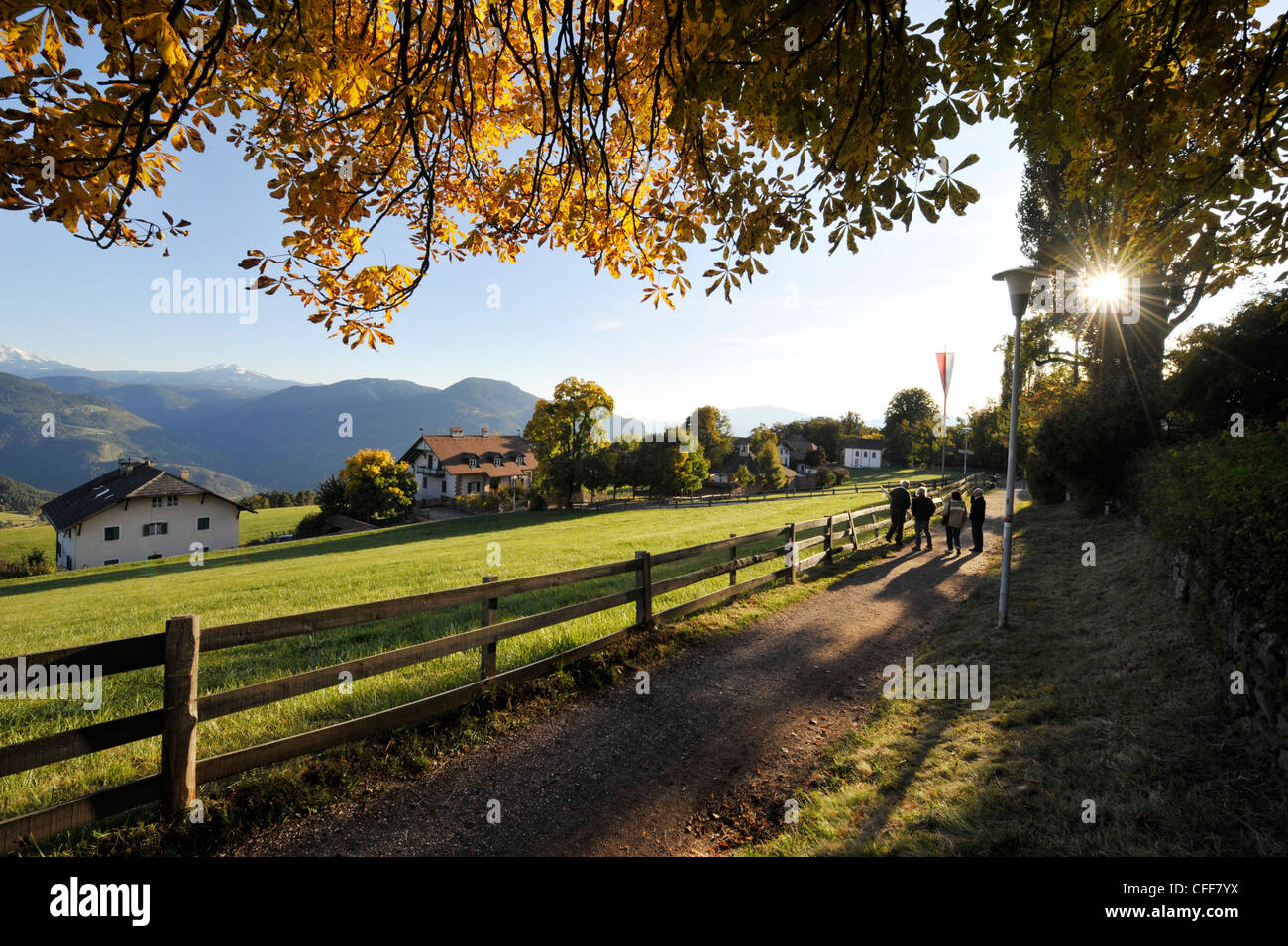 Menschen zu Fuß umgeben von Herbstlandschaft, Oberbozen, Ritten, Südtirol, Südtirol, Italien Stockfoto