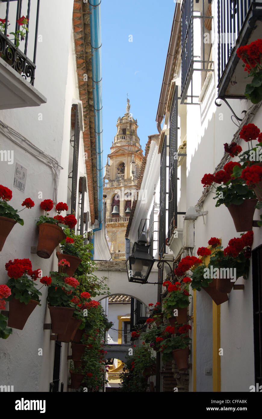 Straße der Blumen (Calle de Las Flores) mit der Mezquita Glockenturm nach hinten, Córdoba, Andalusien, Spanien, Westeuropa. Stockfoto