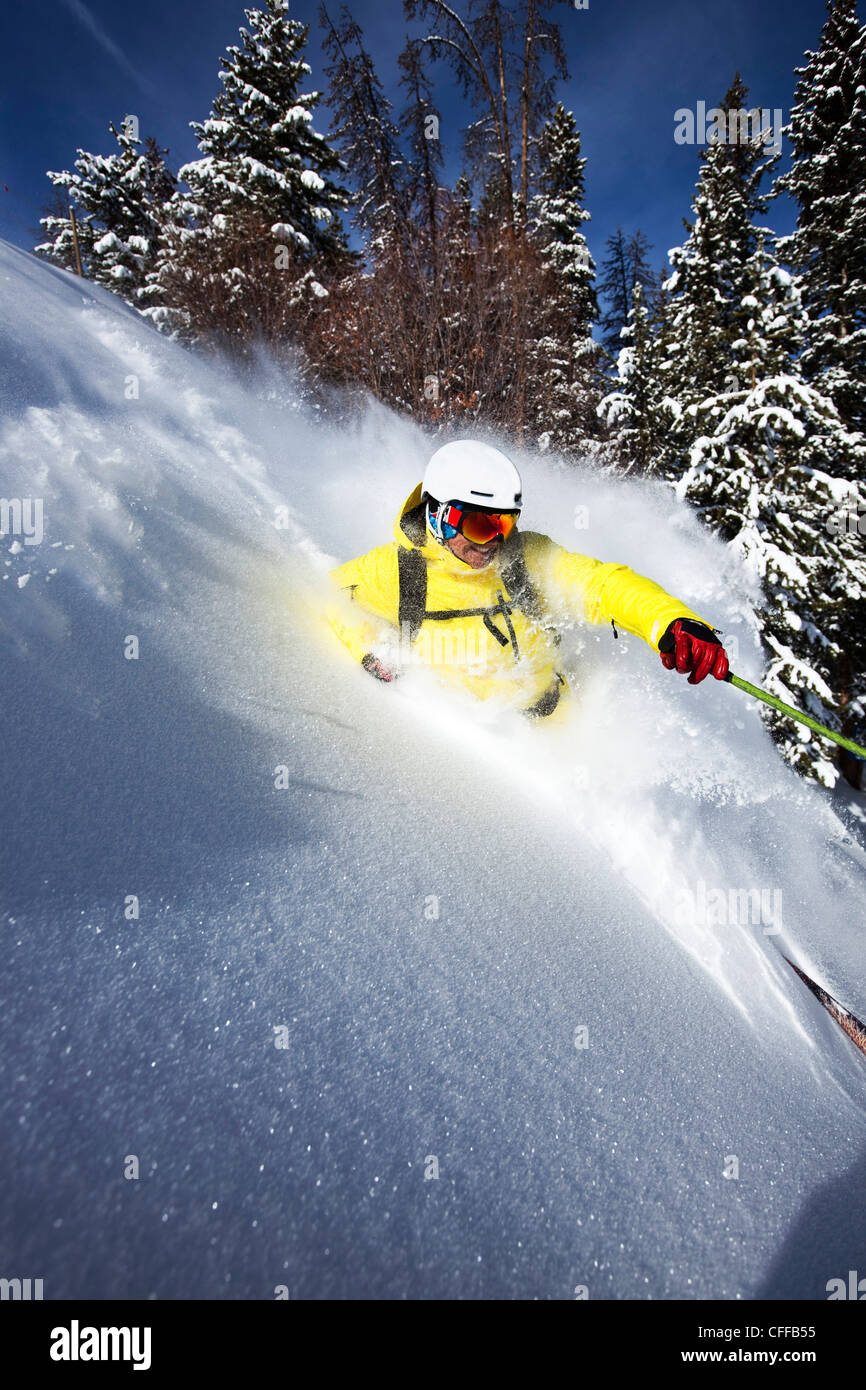 Ein sportliche Skifahrer reißt Frischpulver abwechselnd an einem sonnigen Tag in Colorado. Stockfoto