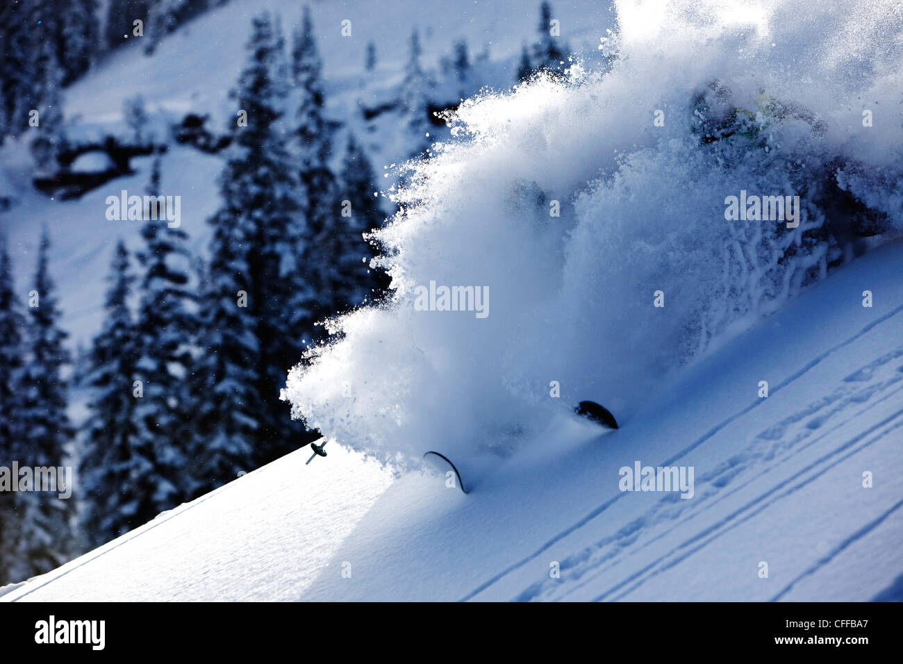 Ein sportliche Skifahrer reißt frischen Tiefschnee Umdrehungen im Hinterland an einem stürmischen Tag in Colorado. Stockfoto