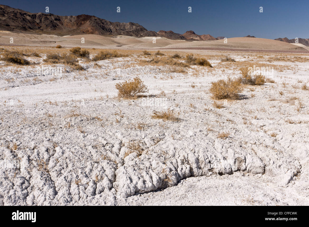Mojave-Wüste, salzhaltige Böden mit hohen Anteil von Borax, in der Nähe von Shoshone, Kalifornien, USA Stockfoto