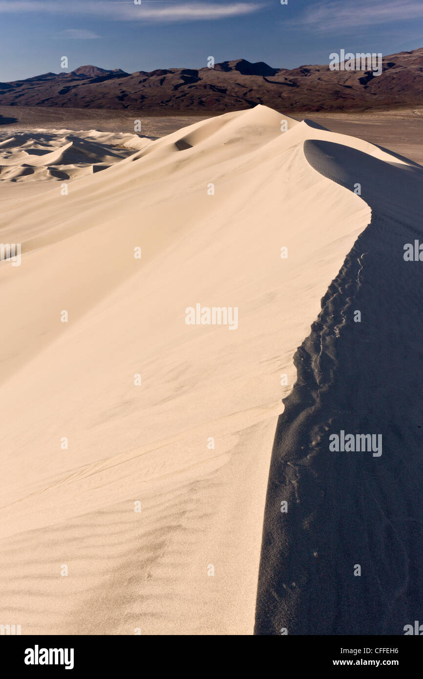 Morgenlicht über Eureka Sanddünen, hohen Dünen im entfernten Teil des Death Valley, Kalifornien, USA Stockfoto