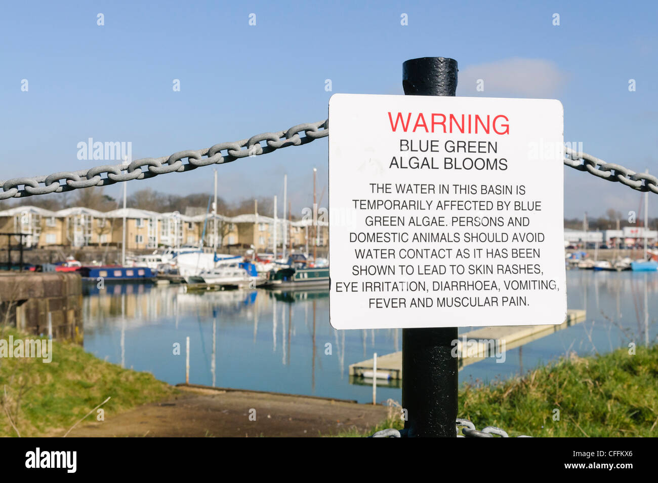 Melden Sie bei Preston Marina Warnung der Öffentlichkeit über die Gefahren der blau - grüne Algen Stockfoto