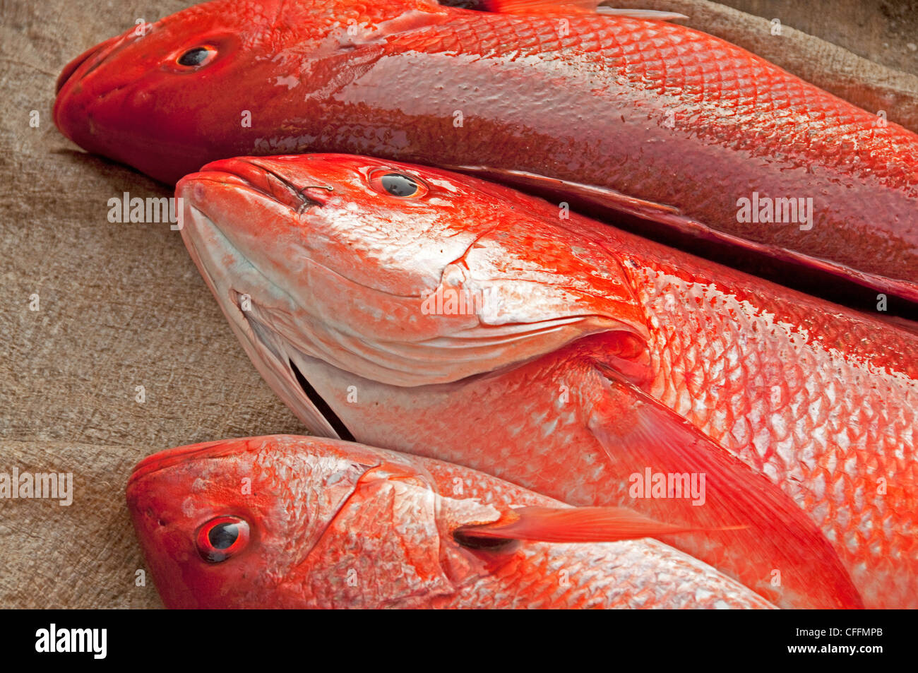 Nahaufnahme von drei Red Snapper Fische zum Verkauf am Meer am Strand in Zihuatanejo, Mexiko Stockfoto