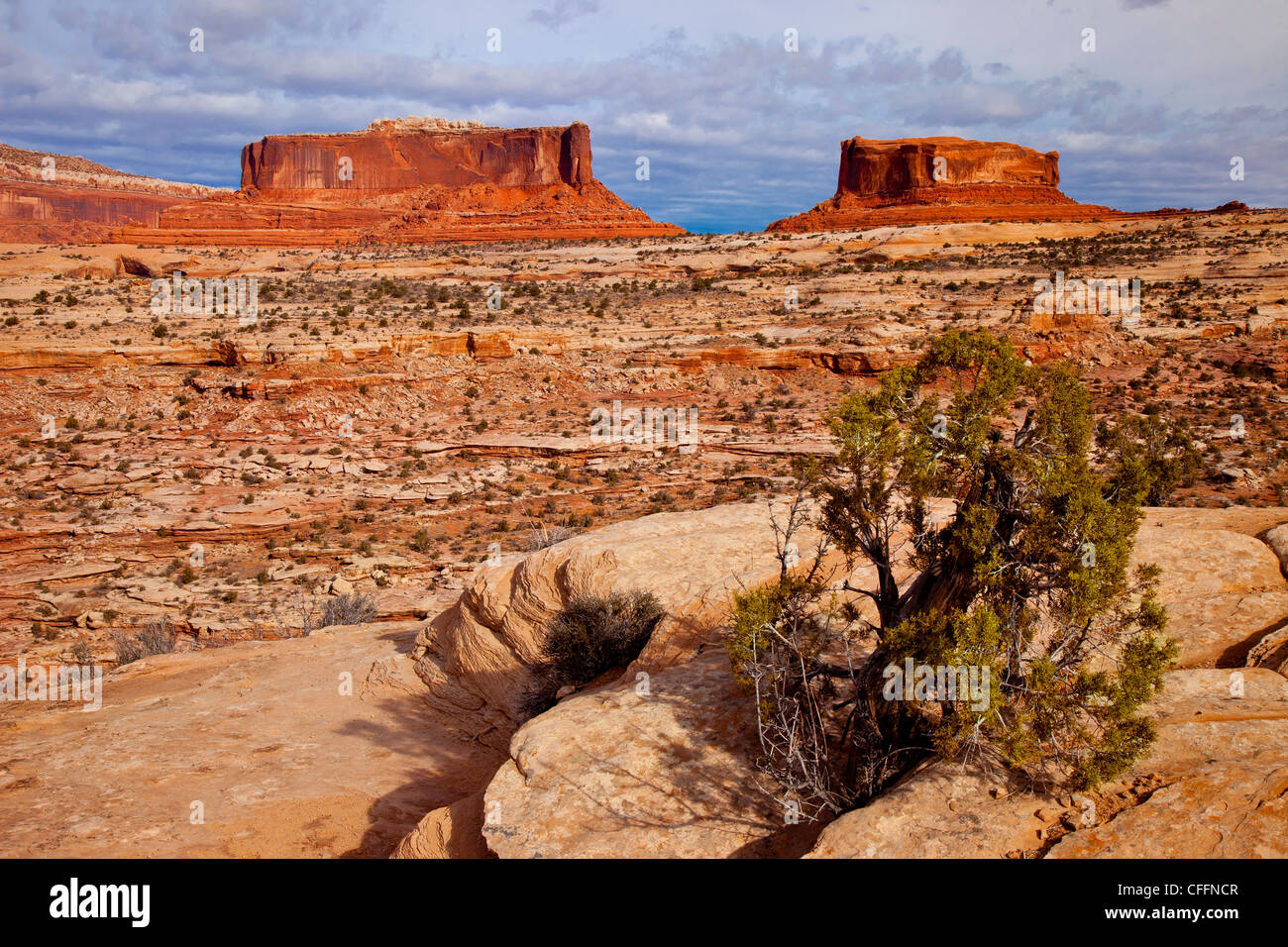 Monitor und Merrimack Buttes in der Nähe von Canyonlands Nationalpark, Moab, Utah, USA Stockfoto