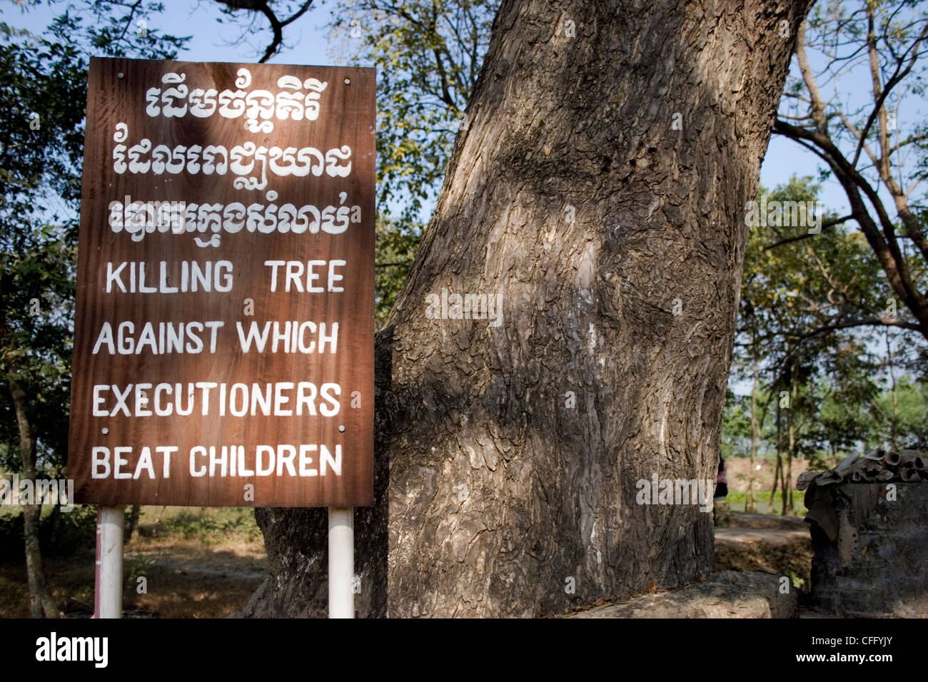 Ein Chankiri Baum oder Killing Tree verwendet, um Babys zu töten ist auf dem Display an Choeung Ek Killing Fields Museum in Phnom Penh, Kambodscha. Stockfoto