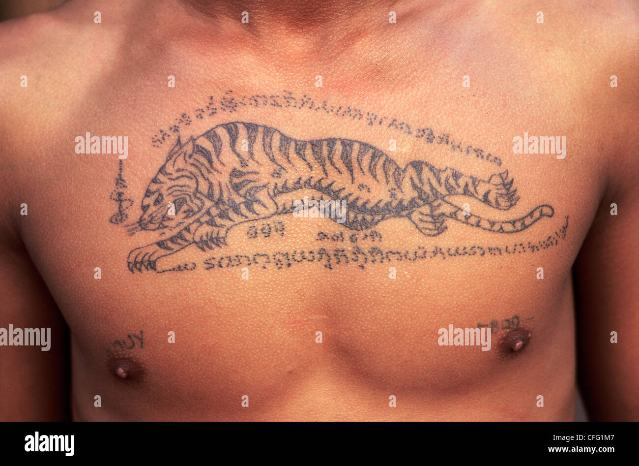 Thailand, Tattoo Tiger auf der Brust des Mannes Stockfotografie - Alamy