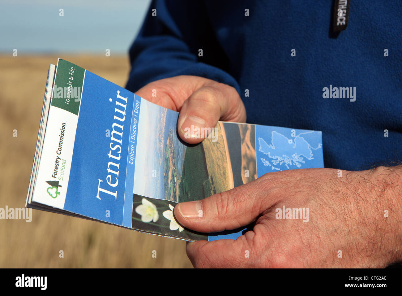 Mann, der Forestry Commission Merkblatt für Tentsmuir Stockfoto