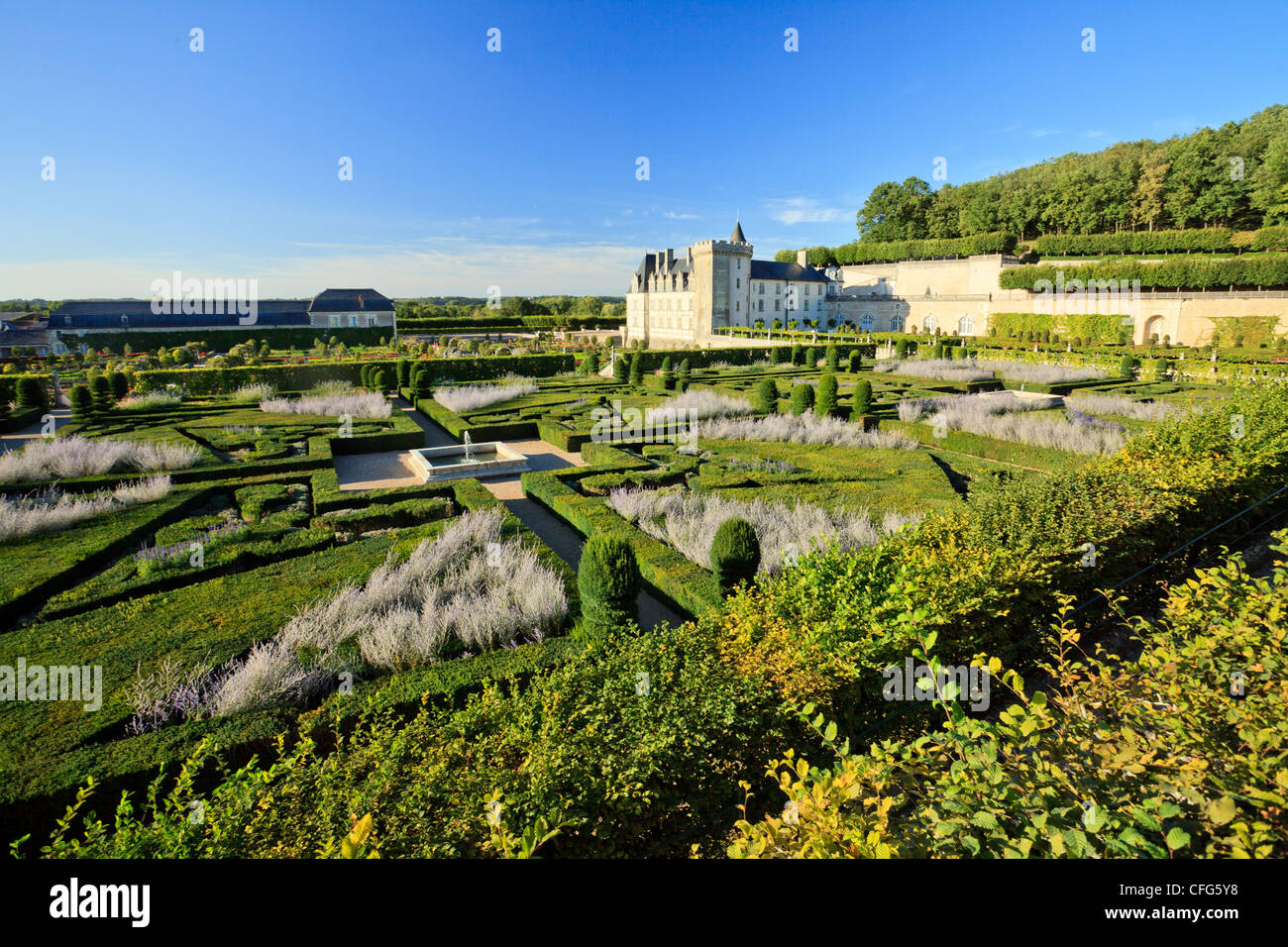 Frankreich, Gärten von Villandry Schloss im Vordergrund Musik Garten (Hecke Eiben und Buchsbaum, Salvia, Perowskia) Stockfoto