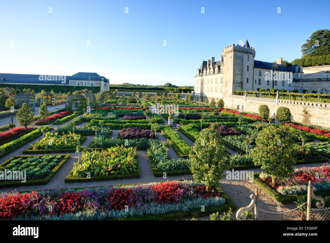 Frankreich, Gärten von Villandry Burg, der Küchengarten behandelt wie ein "Jardin à la Française". Stockfoto