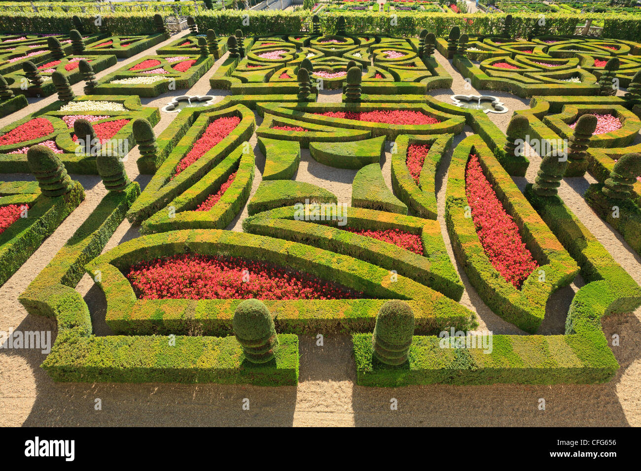 Frankreich, Gärten von Villandry Burg, im Vordergrund "Garden of Love" (Formschnitt und Begonien). Stockfoto