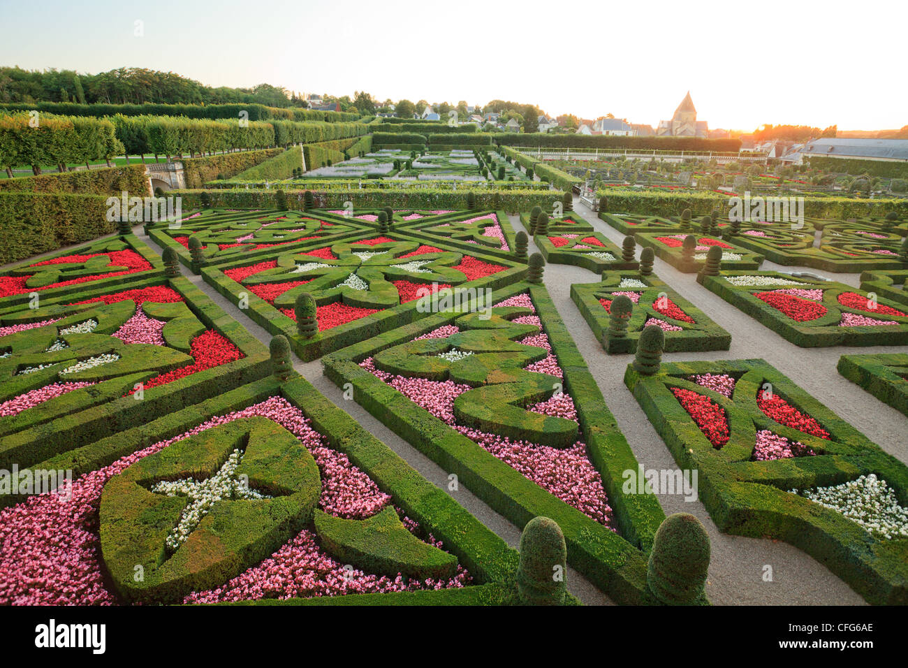 Frankreich, Gärten von Villandry Burg, im Vordergrund "Garden of Love" (Buchsbaum Topiaries und Begonien). Stockfoto