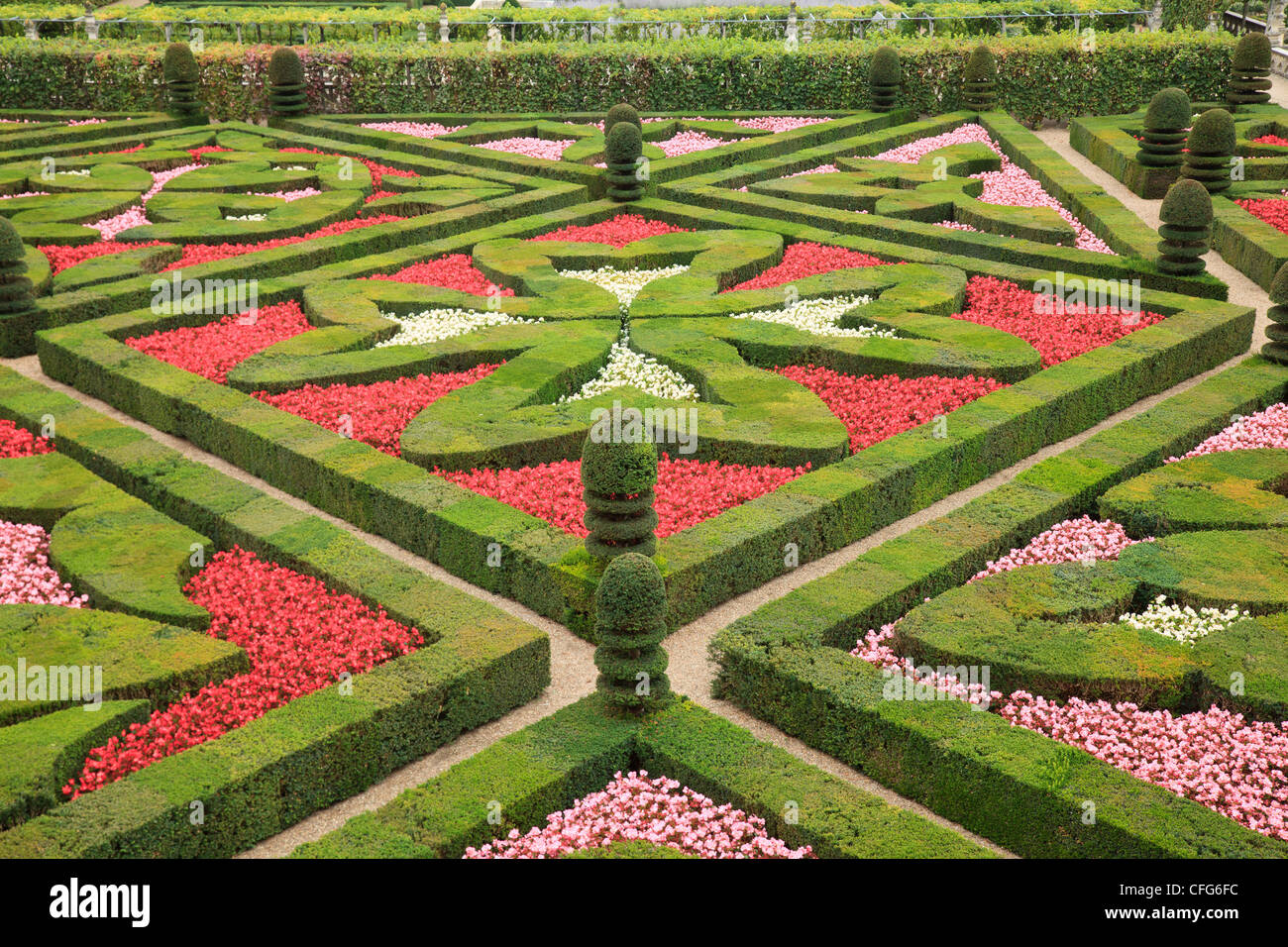 Frankreich, Gärten von Villandry Burg, im Vordergrund "Garden of Love" (Buchsbaum Topiaries und Begonien). Stockfoto