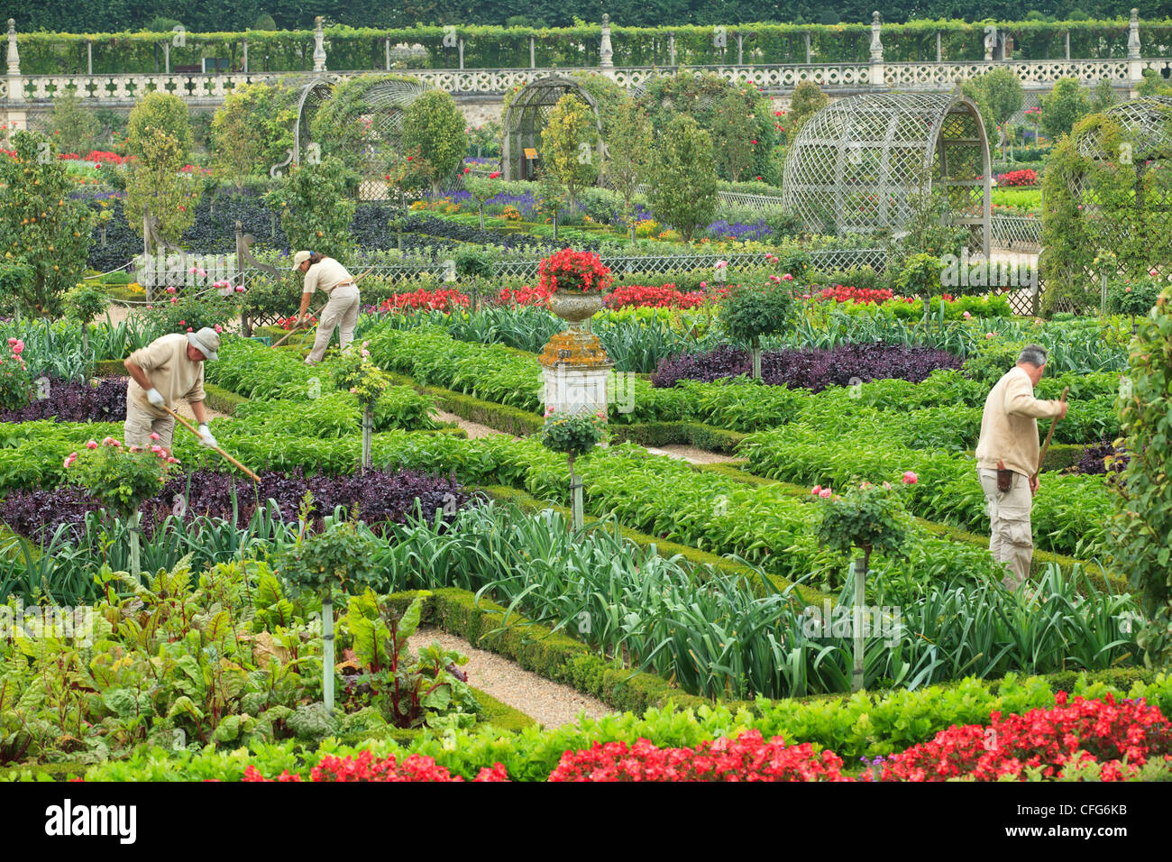 Frankreich, Gärten von Schloss Villandry, die Gärtner im Küchengarten behandelt wie ein "Jardin à la Française". Stockfoto
