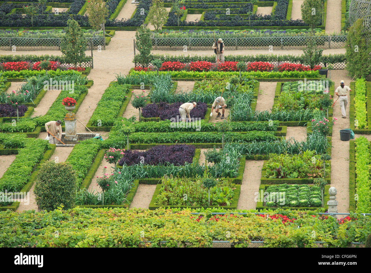 Frankreich, Gärten von Schloss Villandry, die Gärtner im Küchengarten behandelt wie ein "Jardin à la Française". Stockfoto