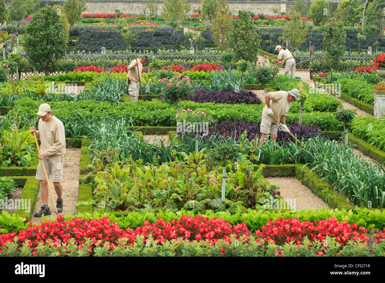 Frankreich, Gärten von Schloss Villandry, die Gärtner im Küchengarten behandelt wie ein "Jardin à la Française". Stockfoto