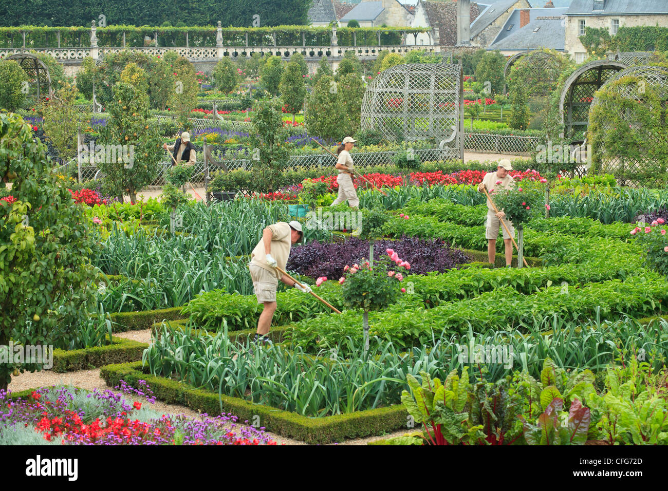 Frankreich, Gärten von Schloss Villandry, die Gärtner im Küchengarten behandelt wie ein "Jardin à la Française". Stockfoto