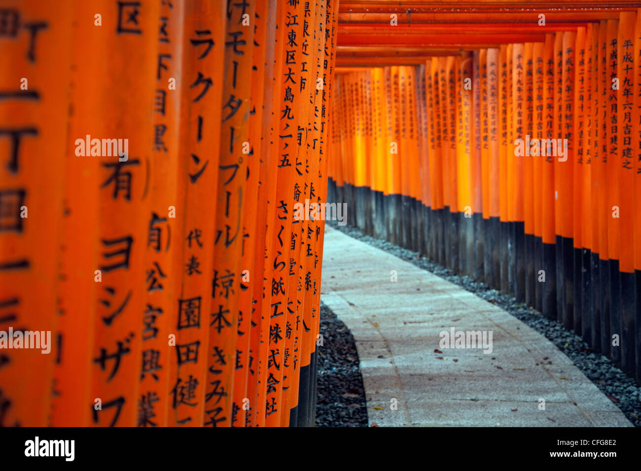 Torii-Tunnel am Fushimi Inari Shinto-Schrein, Kyoto, Japan Stockfoto