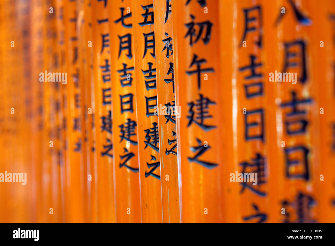 Torii-Tunnel am Fushimi Inari Shinto-Schrein, Kyoto, Japan Stockfoto