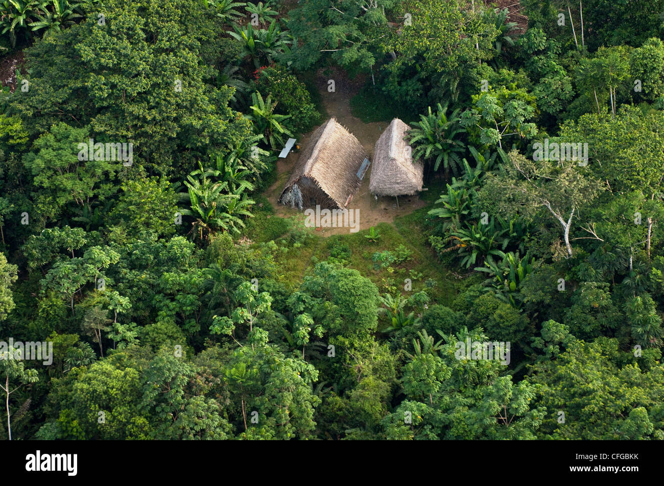 Huaorani Häuser aus der Luft gesehen, einfache Strukturen mit einem Rahmen mit Palmenblättern bedeckt. Bameno Gemeinschaft, Yasuni NP, Stockfoto