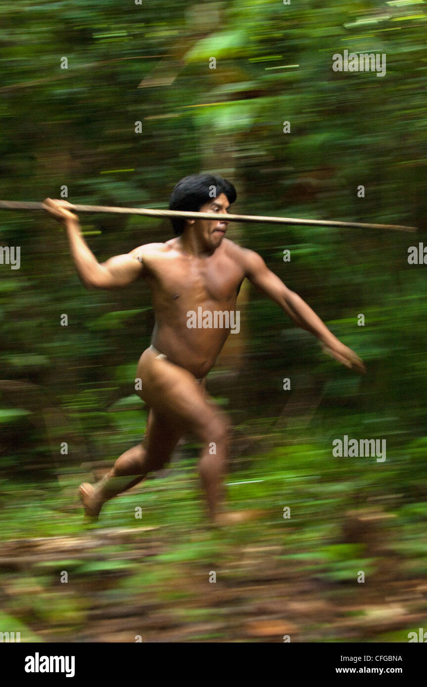 Huaorani Indianer Jagd große terrestrische Spiel mit einer Lanze aus dem Stamm einer Palme gemacht. Bameno, Yasuni, Ecuador Stockfoto