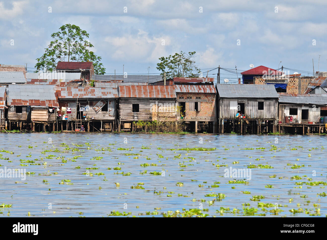 Arme Menschen bauen Hütten auf Stelzen in überschwemmten Gebieten des  Amazonas Stockfotografie - Alamy