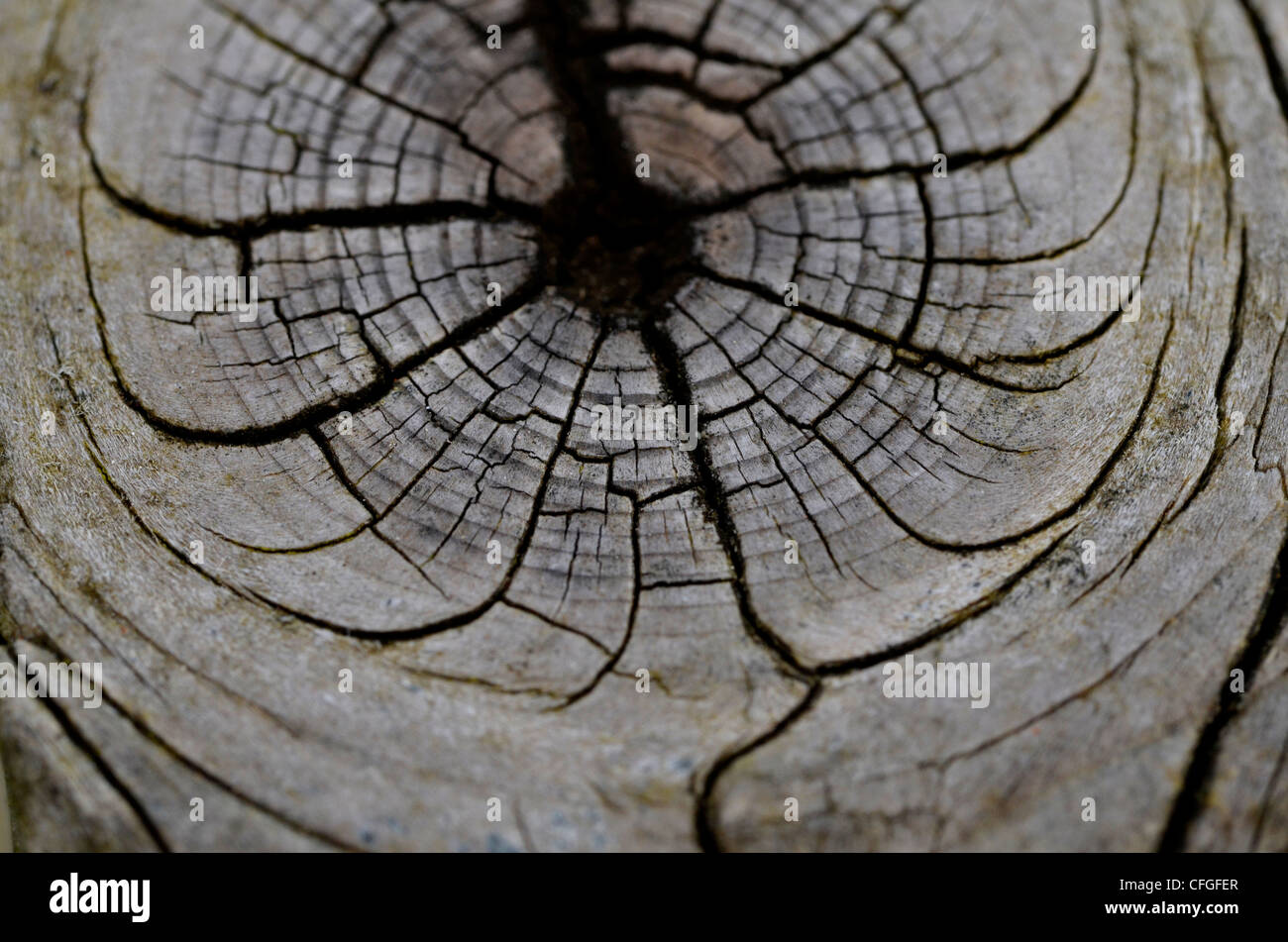 Risse In Holz Stockfotos und -bilder Kaufen - Alamy