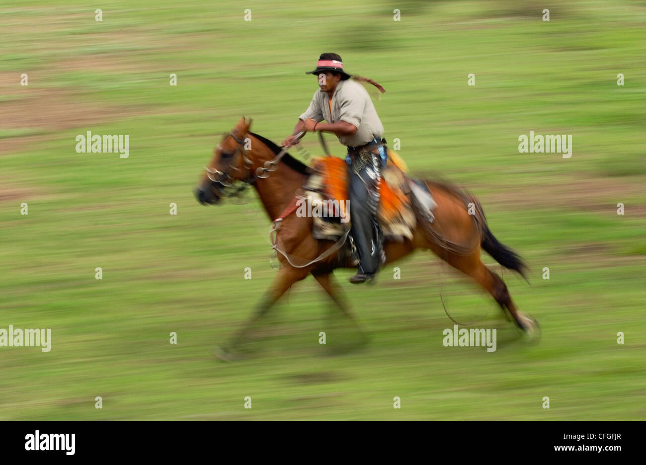 Pantanal Cowboy 'Boiadeiro', Mato Grosso do Sul Provinz, Brasilien Stockfoto