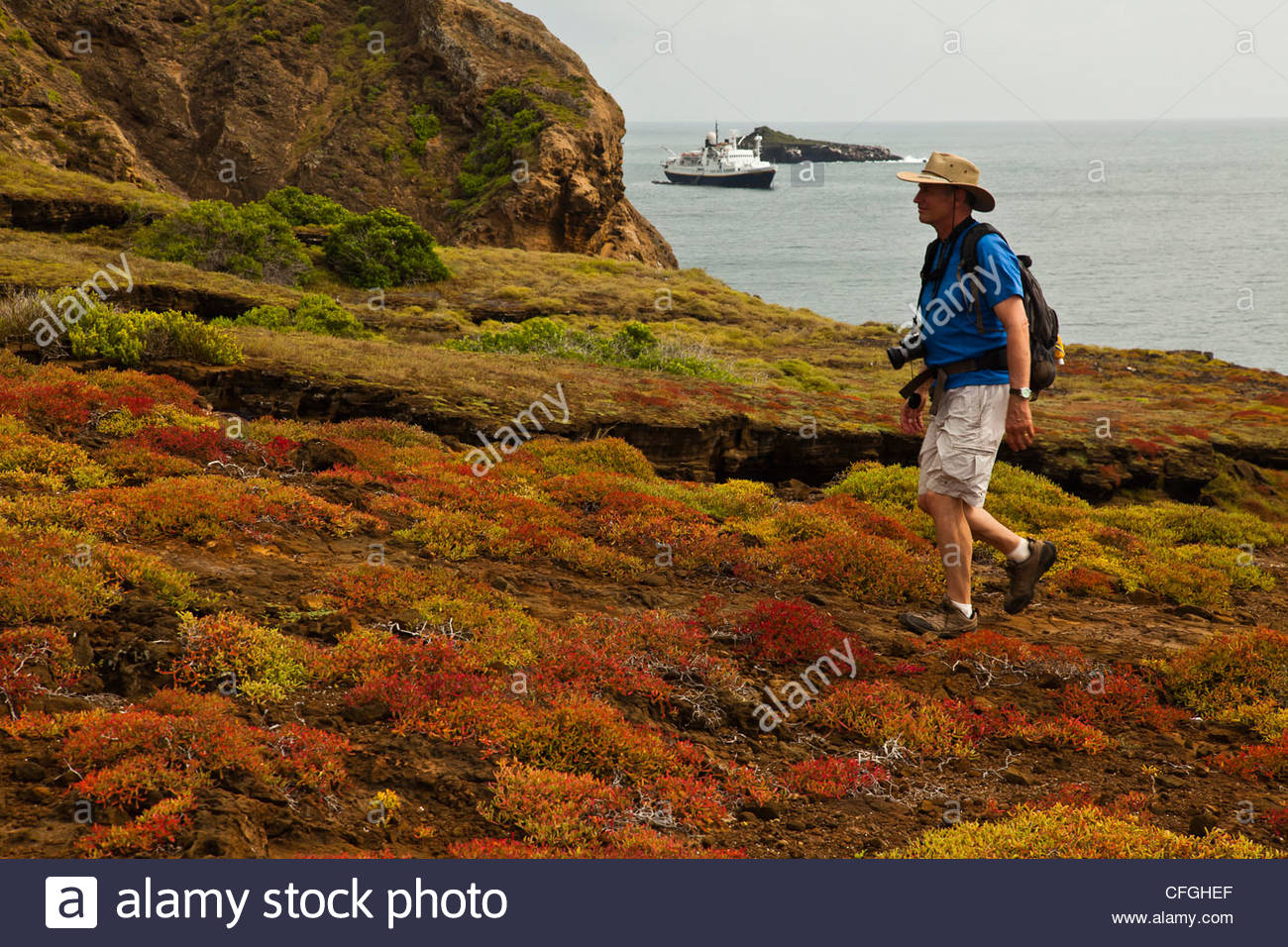 Touristen mit Digitalkamera; National Geographic Endeavour vor der Küste. Stockfoto