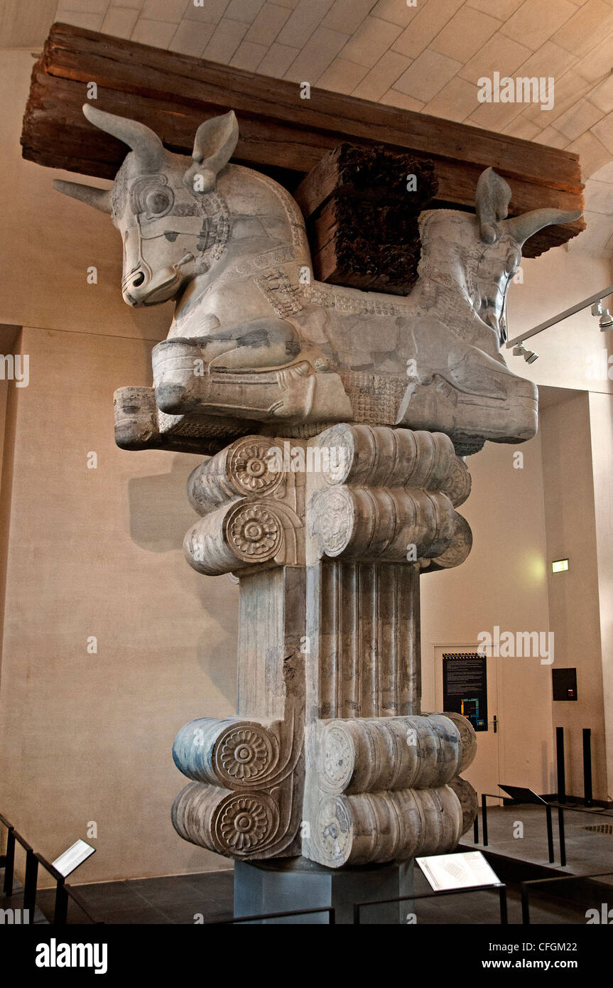 Hauptstadt Spalte Publikum Kammer Halle Apadana persischen Palast von Darius i. der große 521-486 v. Chr. König von Persien Susa Iran Persien Stockfoto