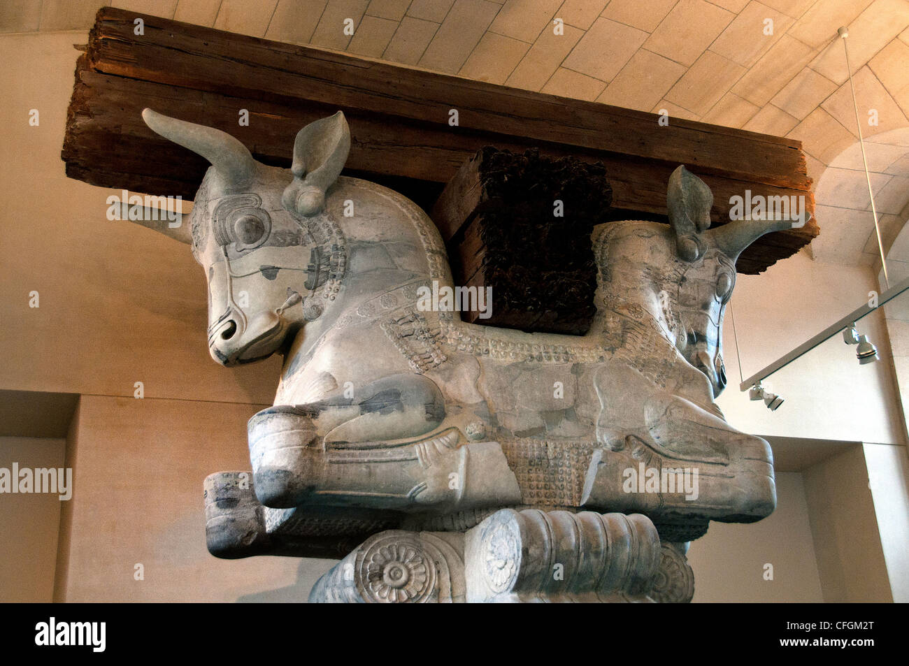 Hauptstadt Spalte Publikum Kammer Halle Apadana persischen Palast von Darius i. der große 521-486 v. Chr. König von Persien Susa Iran Persien Stockfoto
