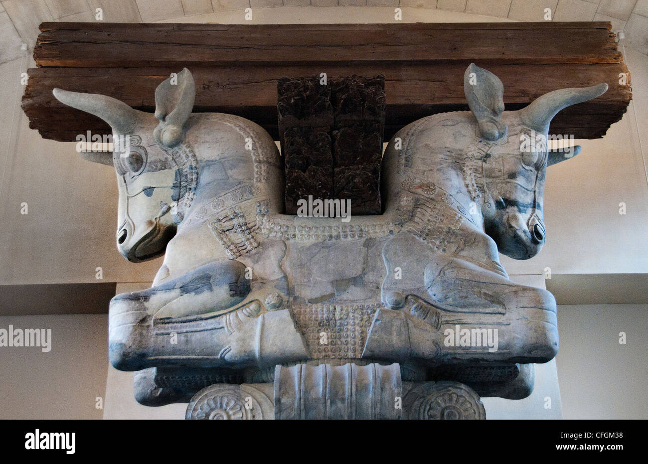 Hauptstadt Spalte Publikum Kammer Halle Apadana persischen Palast von Darius i. der große 521-486 v. Chr. König von Persien Susa Iran Persien Stockfoto