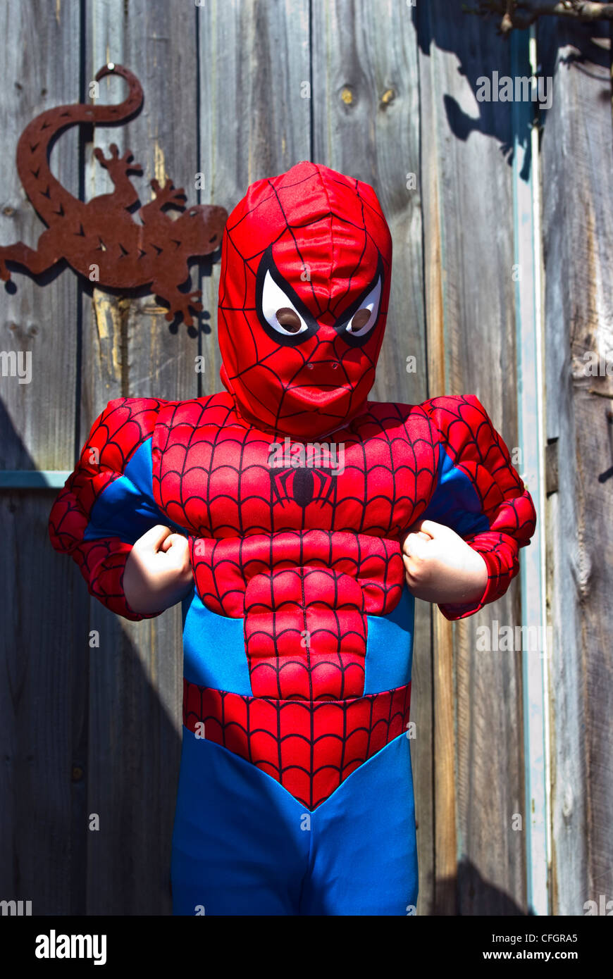 Ein Junge spielt verkleiden und zeigt seine Muskeln in seiner neuen Spider-Man-Anzug. Stockfoto